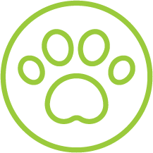 Pets